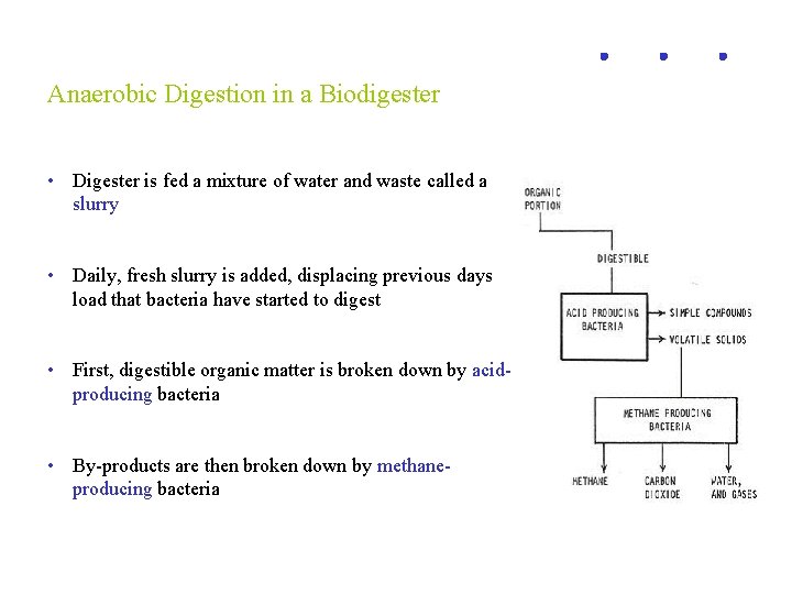 Anaerobic Digestion in a Biodigester • Digester is fed a mixture of water and