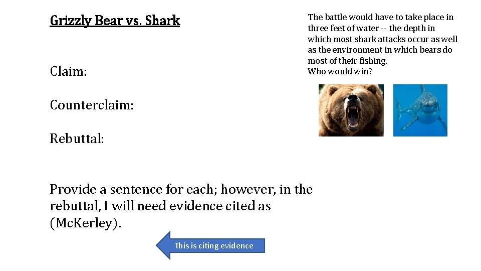 Grizzly Bear vs. Shark Claim: The battle would have to take place in three