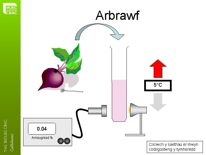 Arbrawf Cellbilenni TAG BIOLEG CBAC 5°C 0. 04 Amsugniad % Cliciwch y saethau er