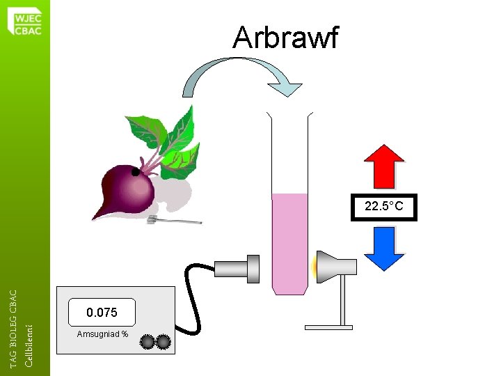 Arbrawf Cellbilenni TAG BIOLEG CBAC 22. 5°C 0. 075 Amsugniad % 