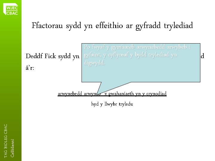 Ffactorau sydd yn effeithio ar gyfradd trylediad Po fwyaf y gymhareb arwynebedd arwybeb i