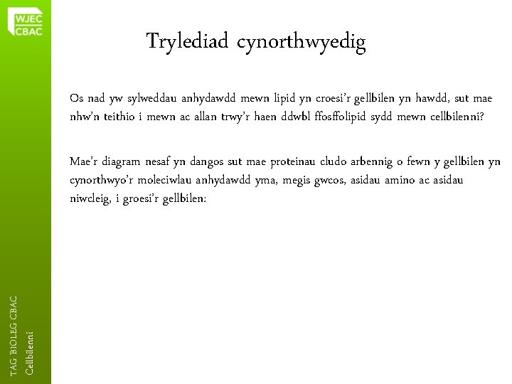 Trylediad cynorthwyedig Os nad yw sylweddau anhydawdd mewn lipid yn croesi’r gellbilen yn hawdd,