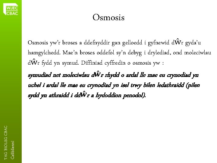 Osmosis yw’r broses a ddefnyddir gan gelloedd i gyfnewid dŵr gyda’u hamgylchedd. Mae’n broses