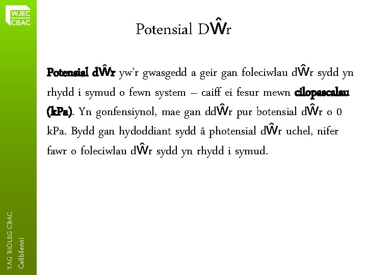 Potensial Dŵr Cellbilenni TAG BIOLEG CBAC Potensial dŵr yw’r gwasgedd a geir gan foleciwlau