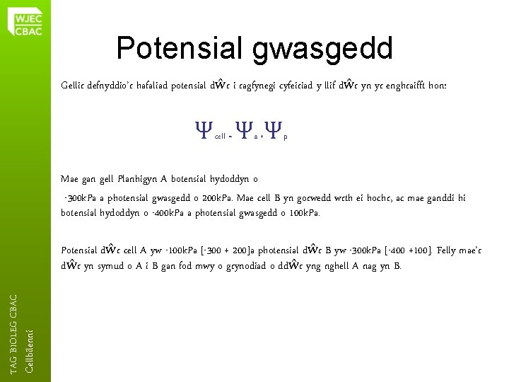 Potensial gwasgedd Gellir defnyddio’r hafaliad potensial dŵr i ragfynegi cyfeiriad y llif dŵr yn