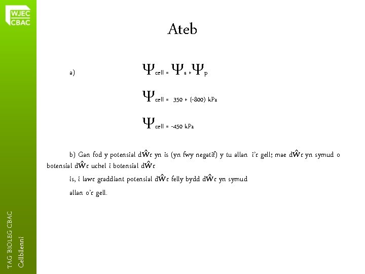 Ateb a) Ψcell = Ψs +Ψp Ψcell = 350 + (-800) k. Pa Ψcell