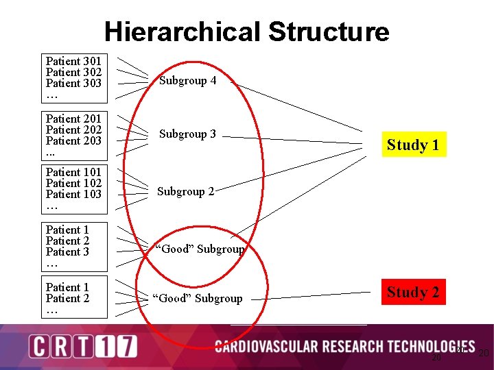 Hierarchical Structure Patient 301 Patient 302 Patient 303 … Subgroup 4 Patient 201 Patient