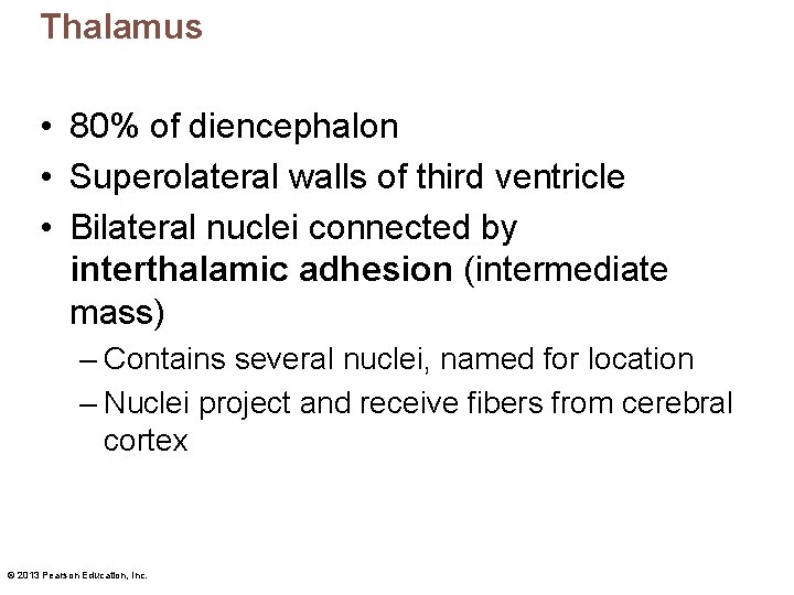 Thalamus • 80% of diencephalon • Superolateral walls of third ventricle • Bilateral nuclei