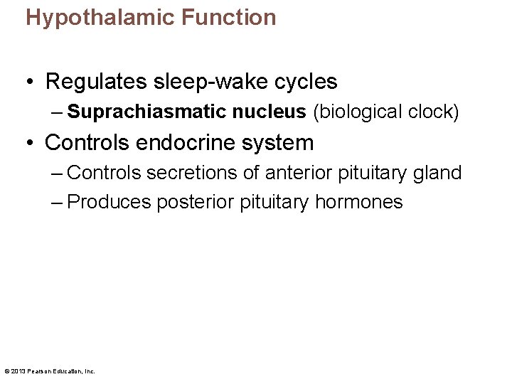 Hypothalamic Function • Regulates sleep-wake cycles – Suprachiasmatic nucleus (biological clock) • Controls endocrine