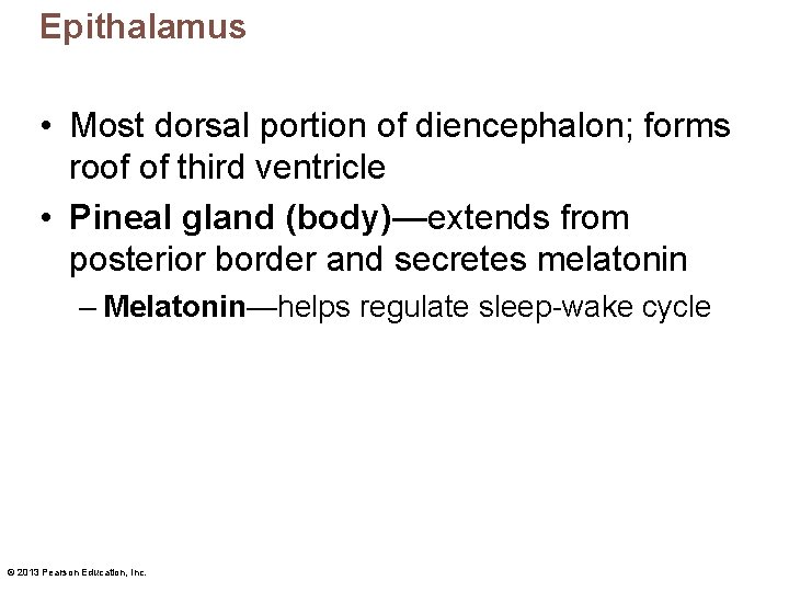 Epithalamus • Most dorsal portion of diencephalon; forms roof of third ventricle • Pineal