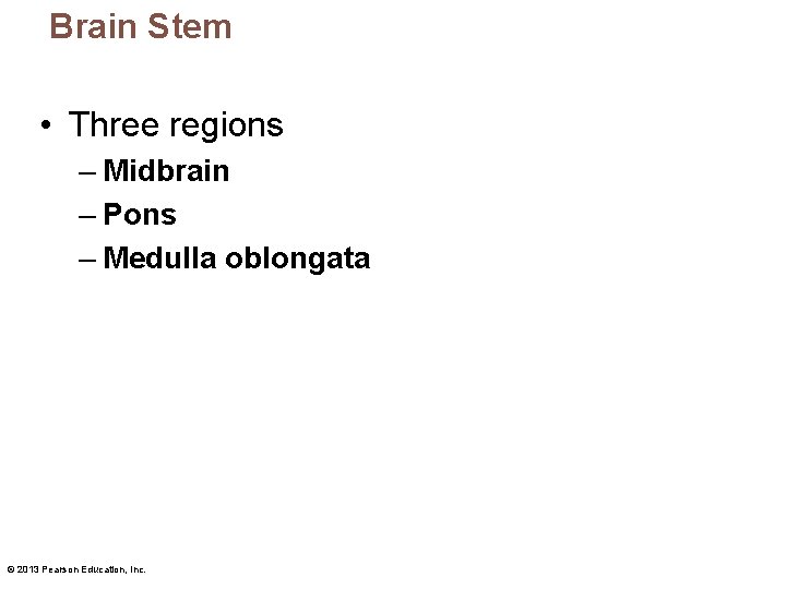 Brain Stem • Three regions – Midbrain – Pons – Medulla oblongata © 2013