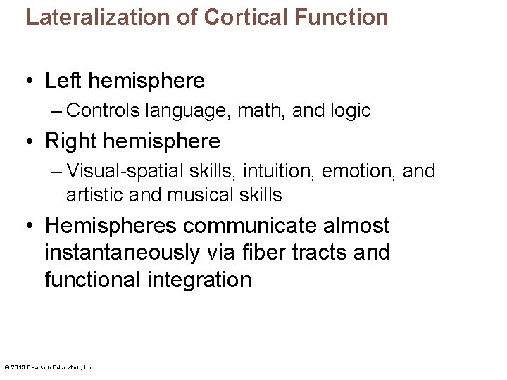 Lateralization of Cortical Function • Left hemisphere – Controls language, math, and logic •