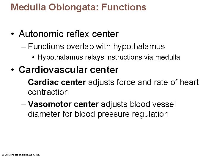 Medulla Oblongata: Functions • Autonomic reflex center – Functions overlap with hypothalamus • Hypothalamus
