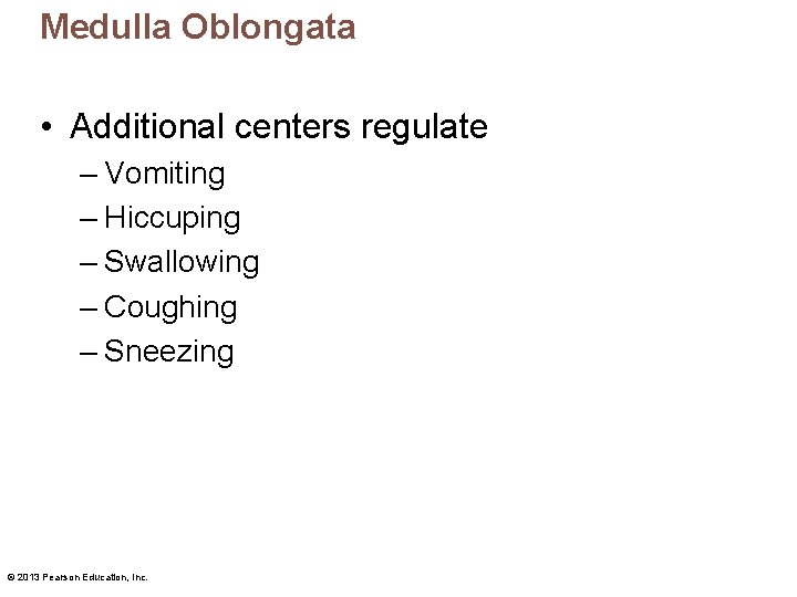 Medulla Oblongata • Additional centers regulate – Vomiting – Hiccuping – Swallowing – Coughing