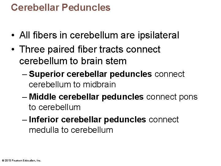 Cerebellar Peduncles • All fibers in cerebellum are ipsilateral • Three paired fiber tracts