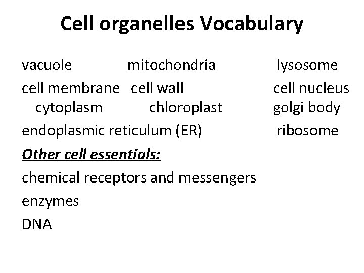 Cell organelles Vocabulary vacuole mitochondria lysosome cell membrane cell wall cell nucleus cytoplasm chloroplast