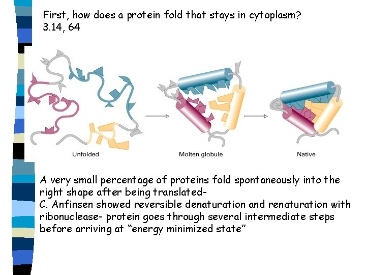 First, how does a protein fold that stays in cytoplasm? 3. 14, 64 A