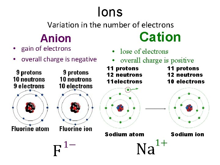 Ions Variation in the number of electrons Anion • gain of electrons • overall