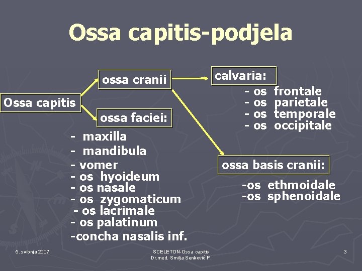 Ossa capitis-podjela ossa cranii Ossa capitis ossa faciei: - maxilla - mandibula - vomer