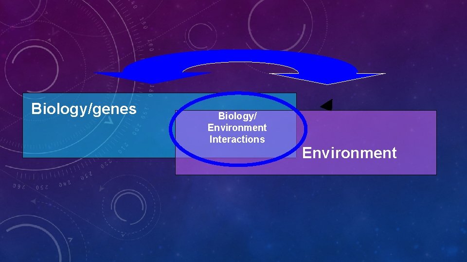 Biology/genes Biology/ Environment Interactions Environment 