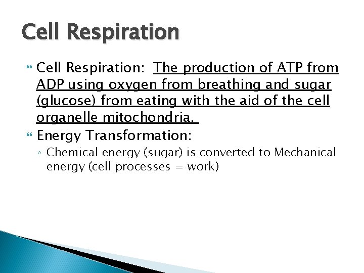 Cell Respiration Cell Respiration: The production of ATP from ADP using oxygen from breathing