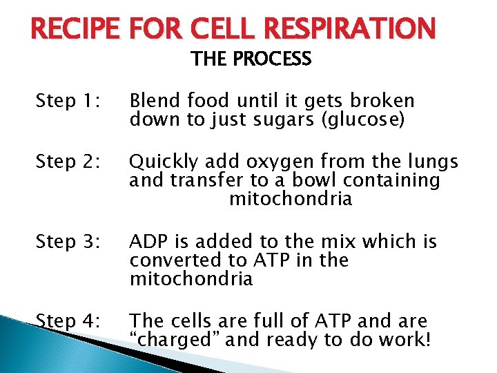 RECIPE FOR CELL RESPIRATION THE PROCESS Step 1: Blend food until it gets broken