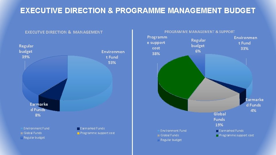 EXECUTIVE DIRECTION & PROGRAMME MANAGEMENT BUDGET EXECUTVE DIRECTION & MANAGEMENT Regular budget 39% Environmen