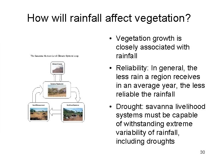 How will rainfall affect vegetation? • Vegetation growth is closely associated with rainfall •