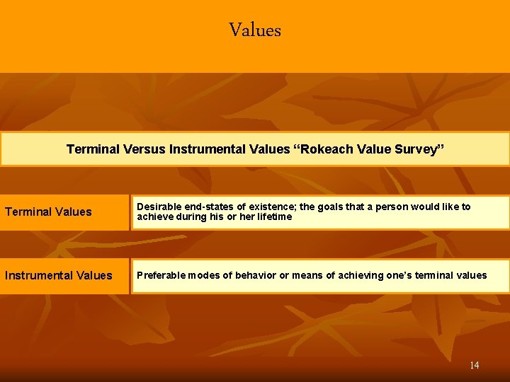 Values Terminal Versus Instrumental Values “Rokeach Value Survey” Terminal Values Desirable end-states of existence;