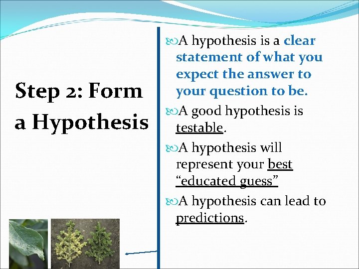 Step 2: Form a Hypothesis A hypothesis is a clear statement of what you