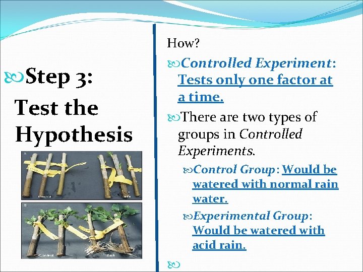 How? Step 3: Test the Hypothesis Controlled Experiment: Tests only one factor at a