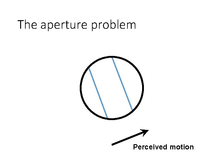 The aperture problem Perceived motion 