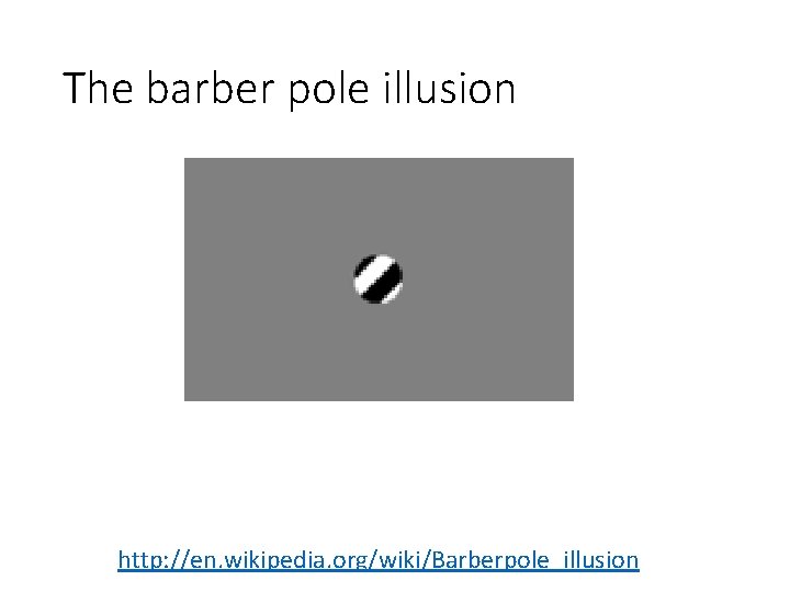 The barber pole illusion http: //en. wikipedia. org/wiki/Barberpole_illusion 