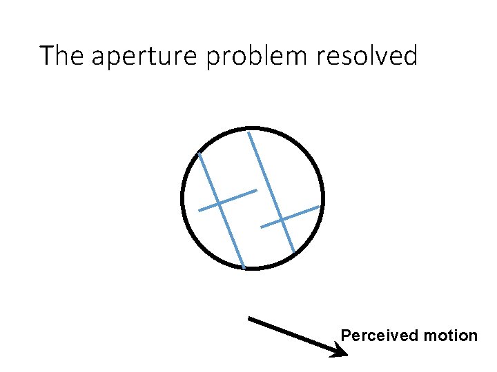 The aperture problem resolved Perceived motion 