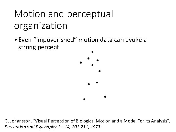 Motion and perceptual organization • Even “impoverished” motion data can evoke a strong percept