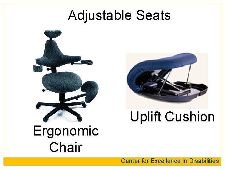 Adjustable Seats Ergonomic Chair Uplift Cushion Center for Excellence in Disabilities 