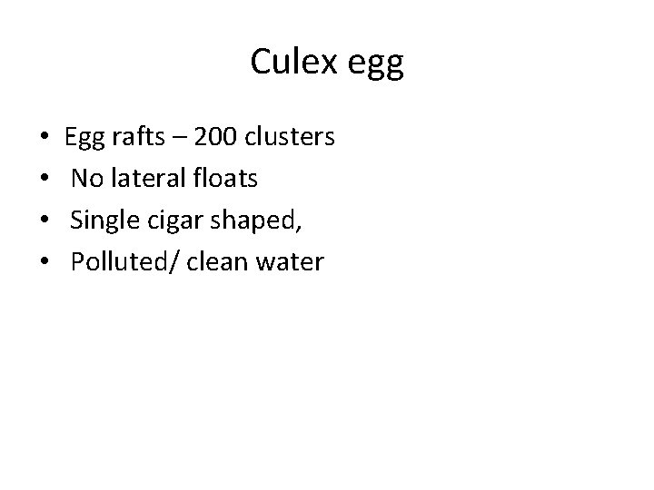 Culex egg • • Egg rafts – 200 clusters No lateral floats Single cigar