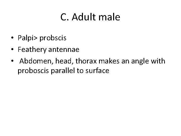 C. Adult male • Palpi> probscis • Feathery antennae • Abdomen, head, thorax makes