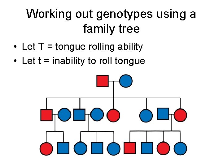 Working out genotypes using a family tree • Let T = tongue rolling ability Working out genotypes using a family tree • Let T = tongue rolling ability