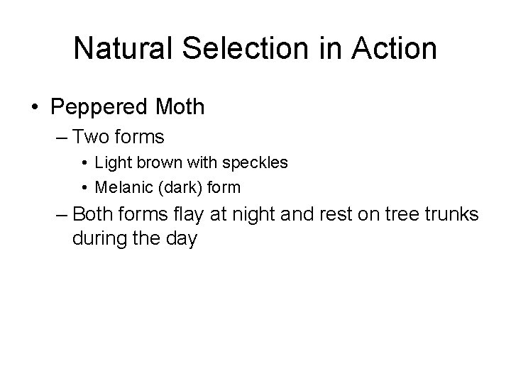 Natural Selection in Action • Peppered Moth – Two forms • Light brown with Natural Selection in Action • Peppered Moth – Two forms • Light brown with