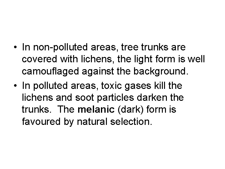 • In non-polluted areas, tree trunks are covered with lichens, the light form • In non-polluted areas, tree trunks are covered with lichens, the light form