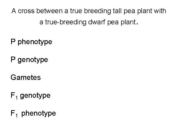 A cross between a true breeding tall pea plant with a true-breeding dwarf pea A cross between a true breeding tall pea plant with a true-breeding dwarf pea
