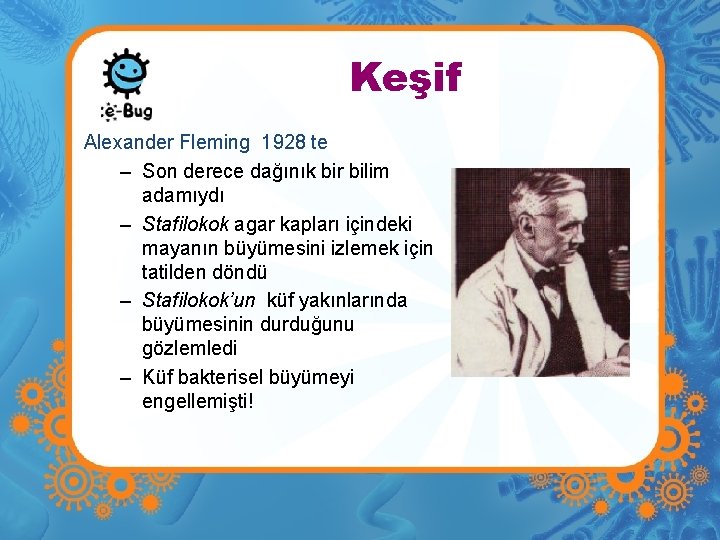 Keşif Alexander Fleming 1928 te – Son derece dağınık bir bilim adamıydı – Stafilokok