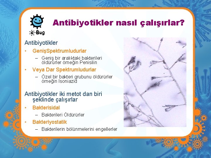 Antibiyotikler nasıl çalışırlar? Antibiyotikler • GenişSpektrumludurlar – Geniş bir aralıktaki bakterileri öldürürler örneğin Penisilin