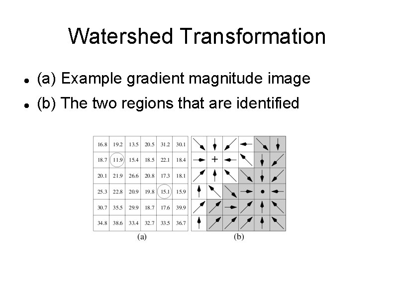 Watershed Transformation (a) Example gradient magnitude image (b) The two regions that are identified
