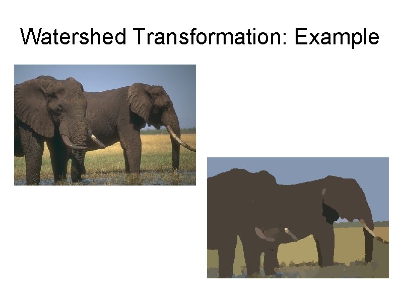 Watershed Transformation: Example 