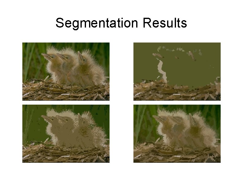 Segmentation Results 