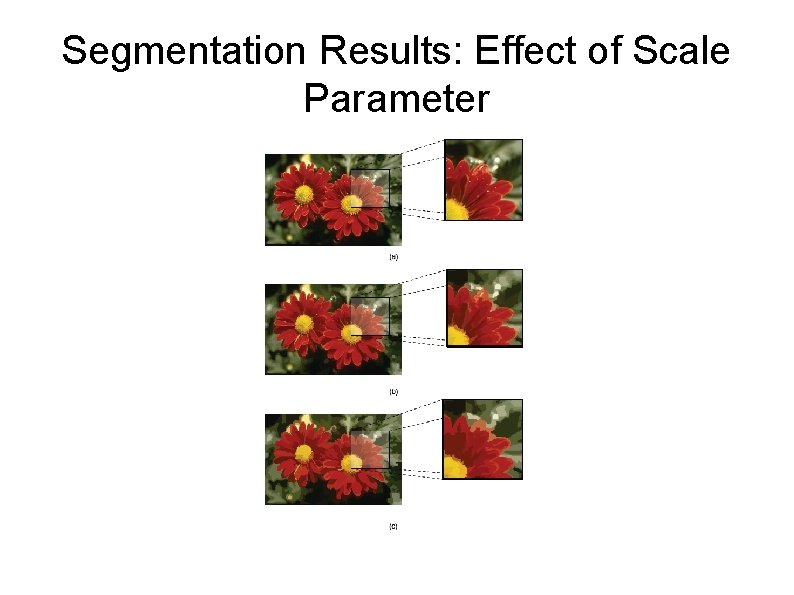 Segmentation Results: Effect of Scale Parameter 