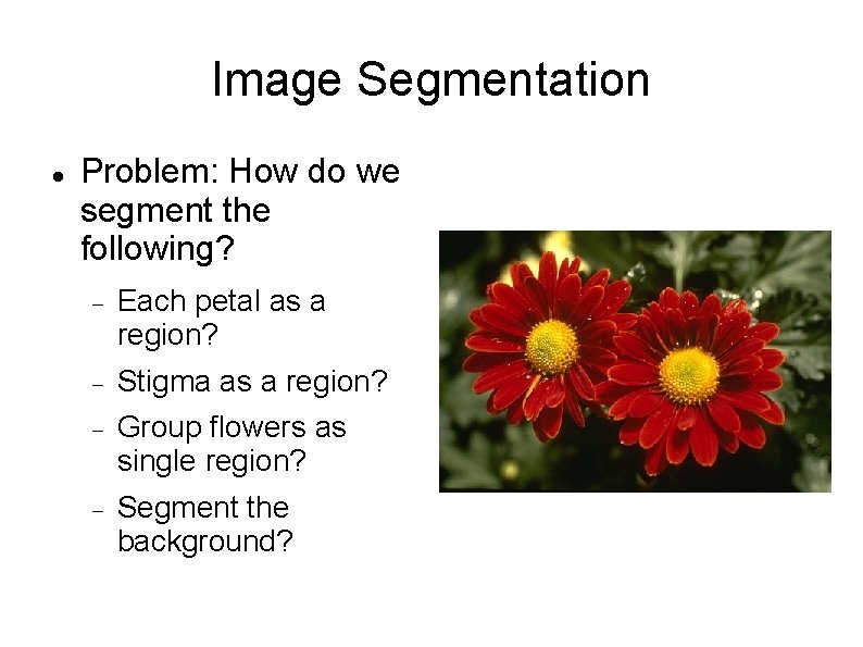 Image Segmentation Problem: How do we segment the following? Each petal as a region?