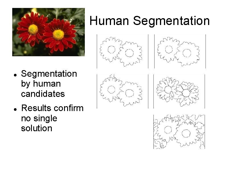 Human Segmentation by human candidates Results confirm no single solution 